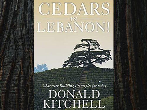 Cedars In Lebanon